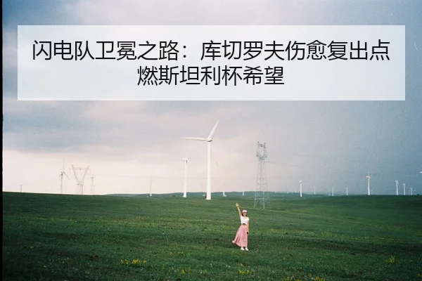 shan-dian-dui-wei-mian-zhi-lu-ku-qie-luo-fu-shang-yu-fu-chu-dian-ran-si-tan-li-bei-xi-wang-2-747.jpg